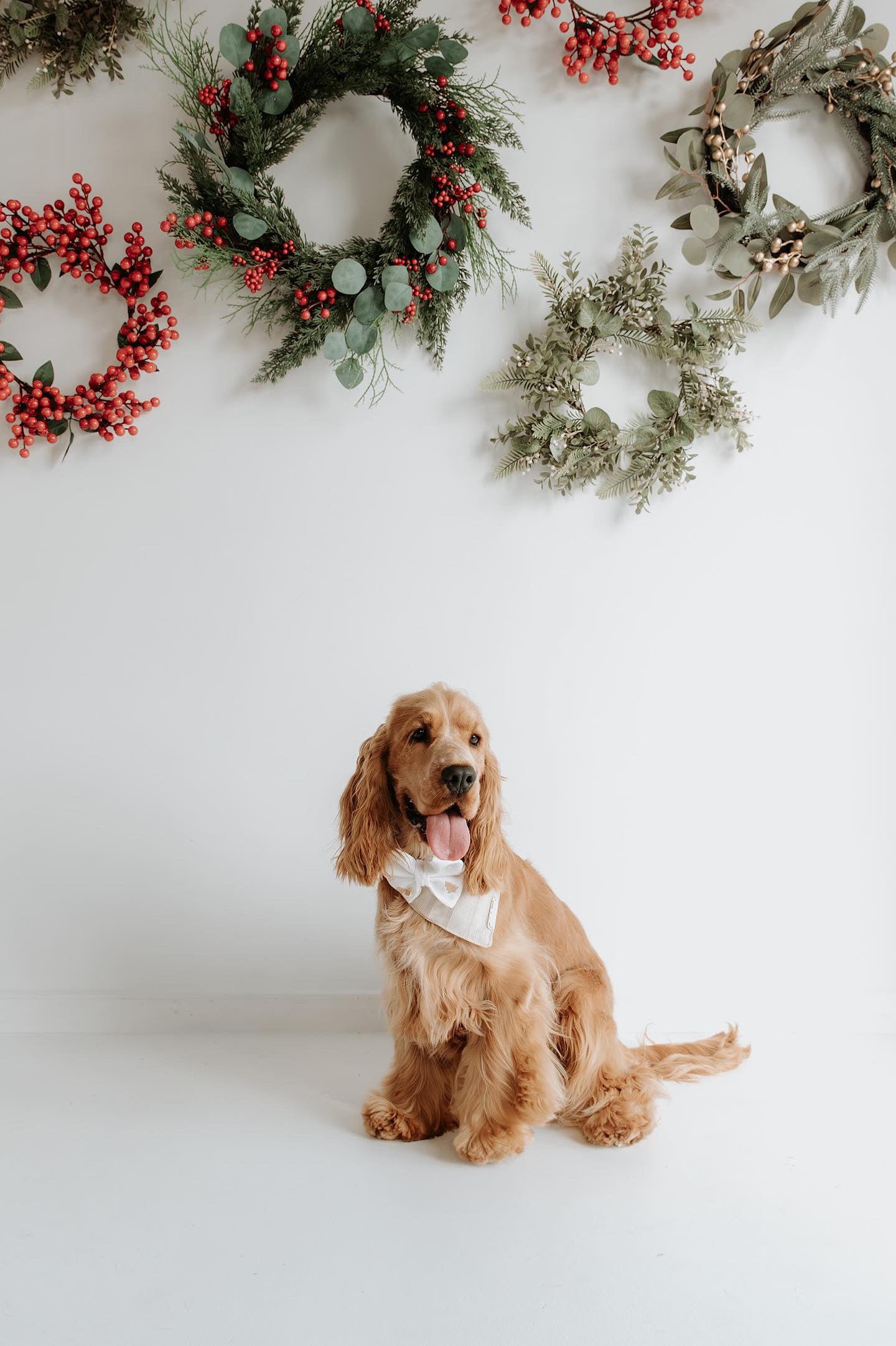 Build-A Christmas Tree Bow Tie