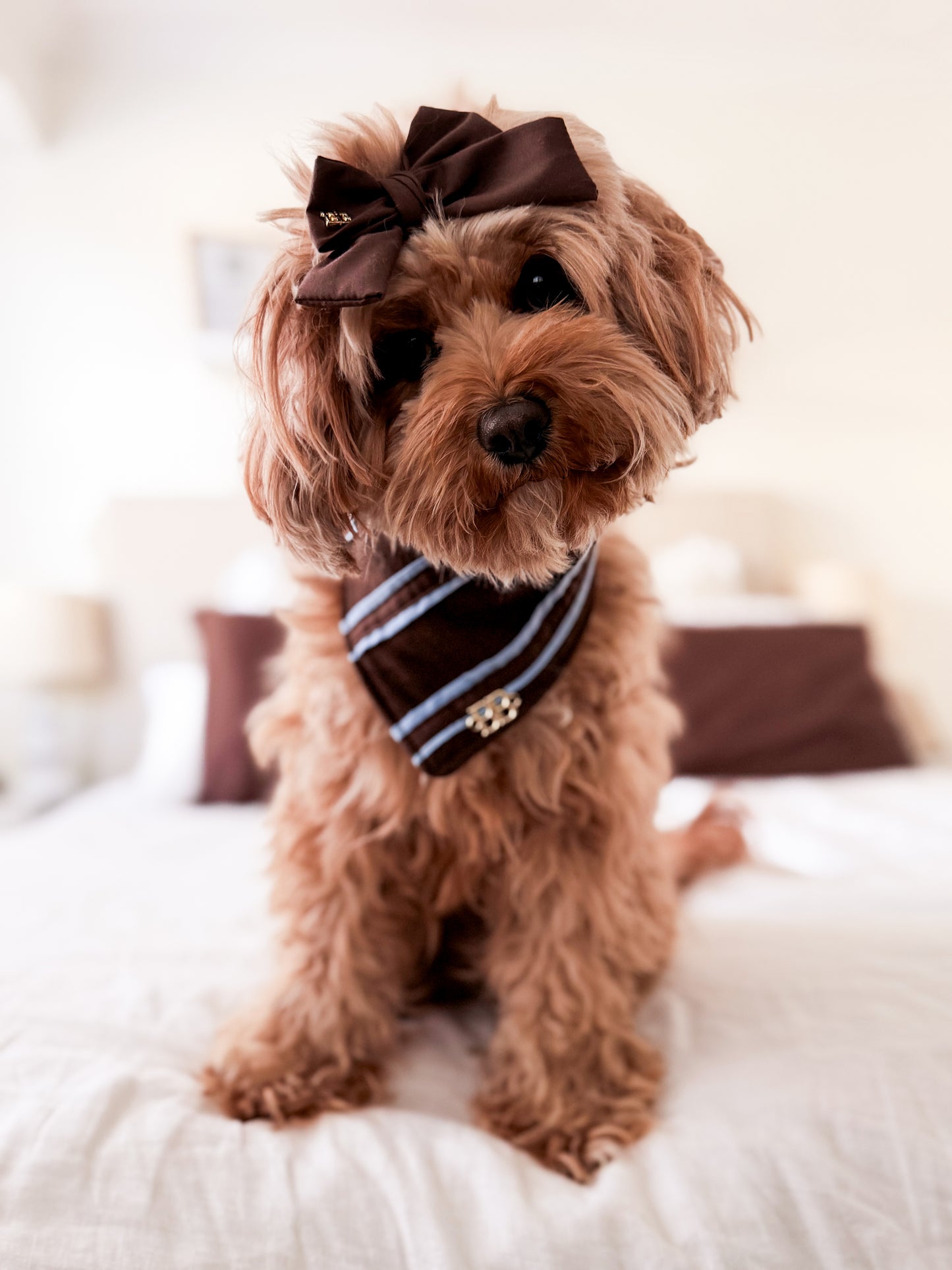 Cocoa Powder Bandana