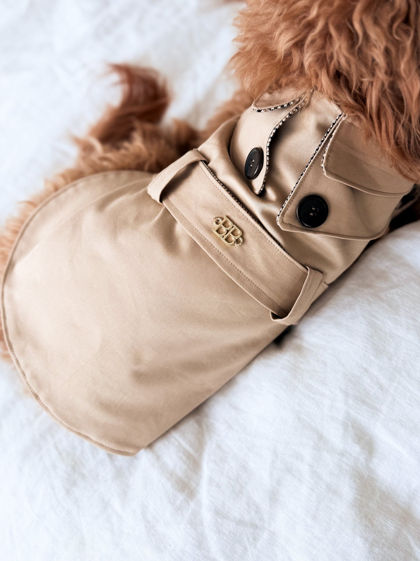 Caramel Trench Coat