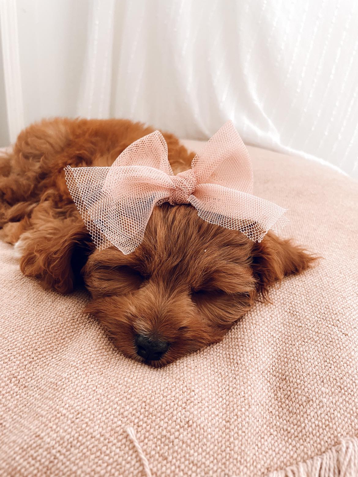 Tulle Hair Bows