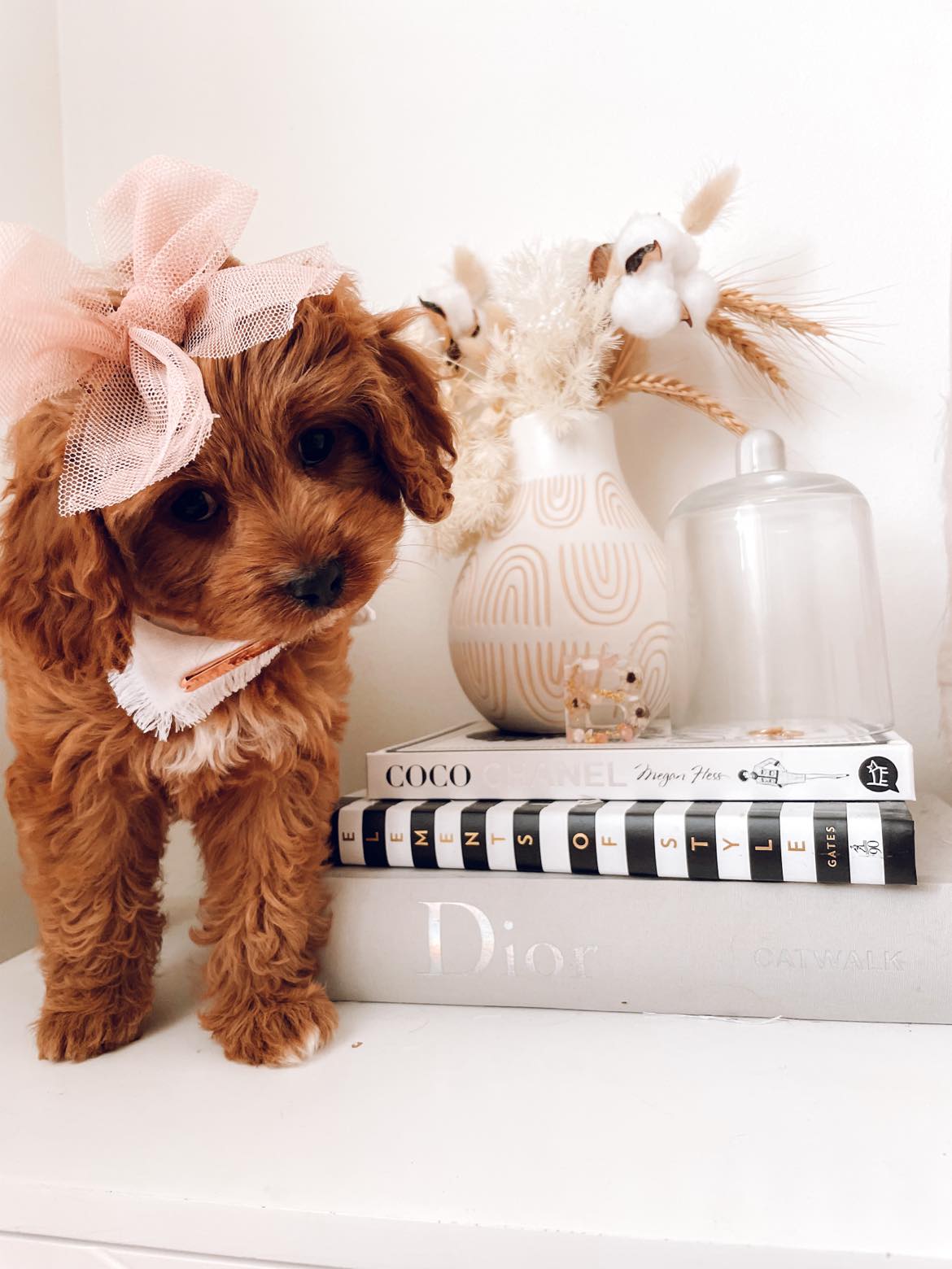 Tulle Hair Bows