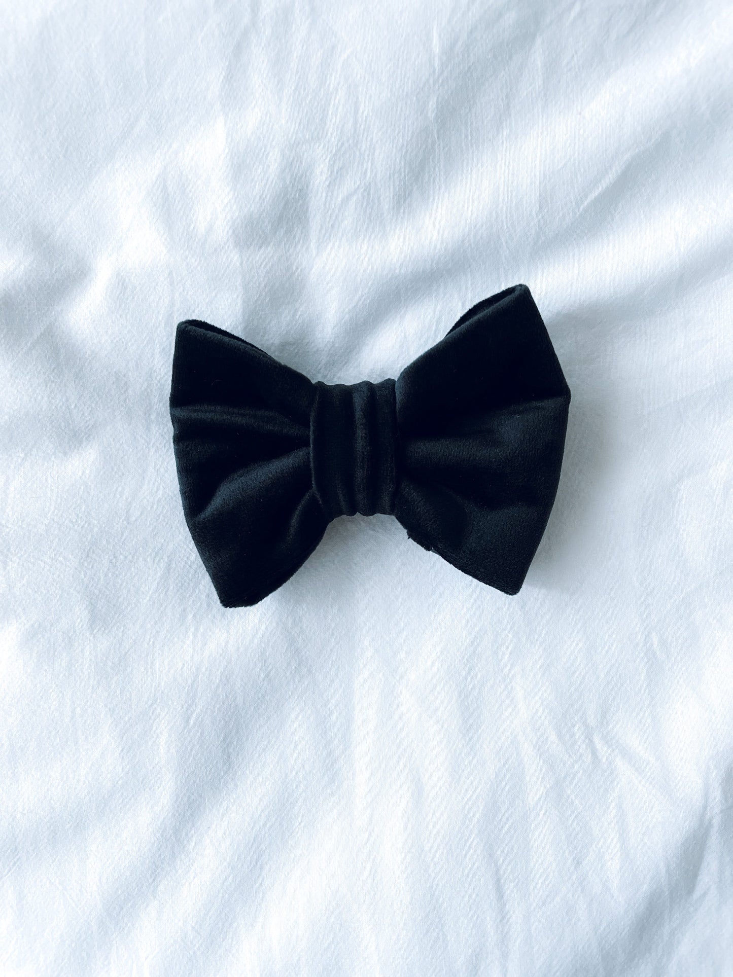 Harvey Bow Tie
