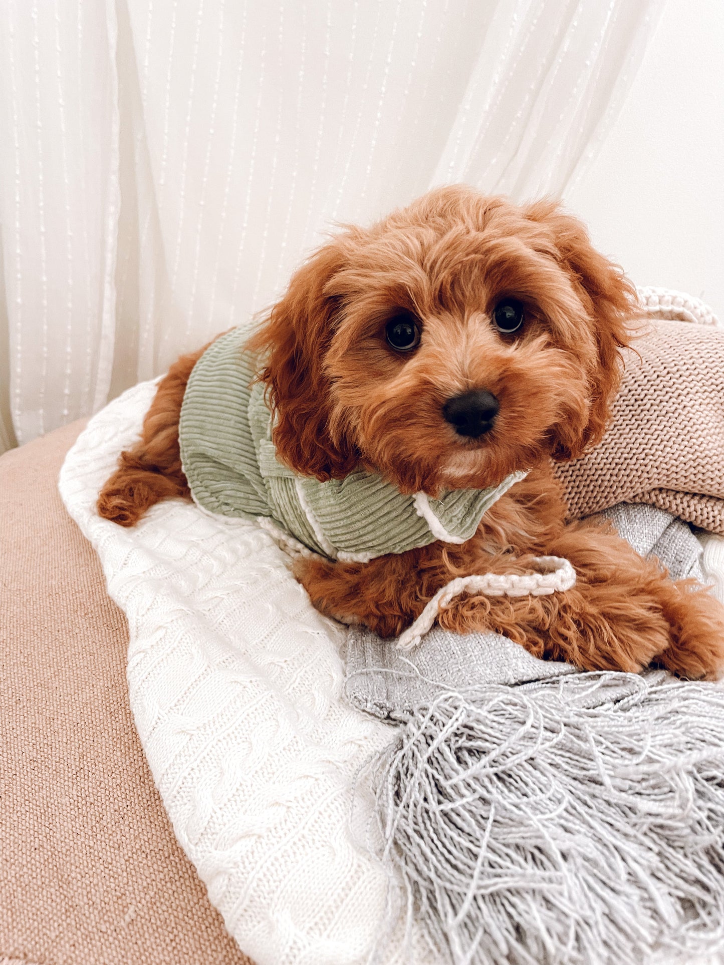 Marley Corduroy Coat