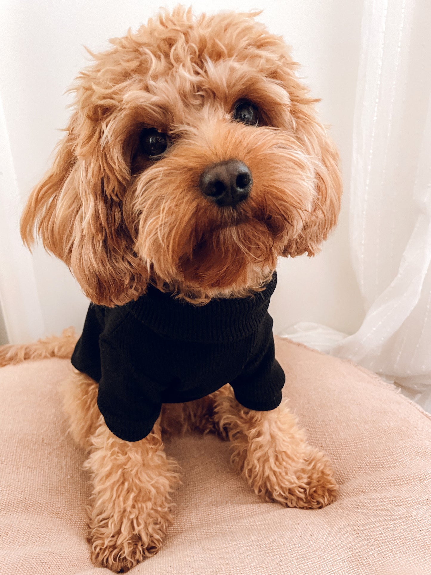 Arlo Sweater