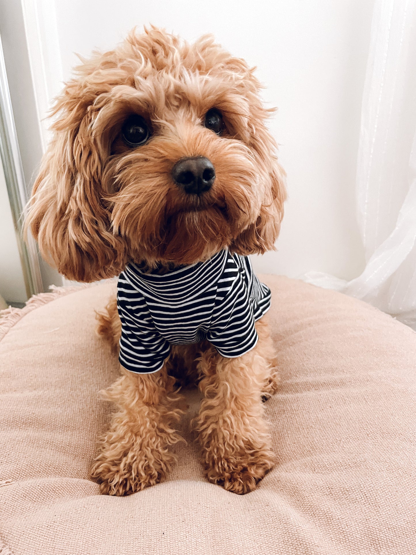 Leo Sweater