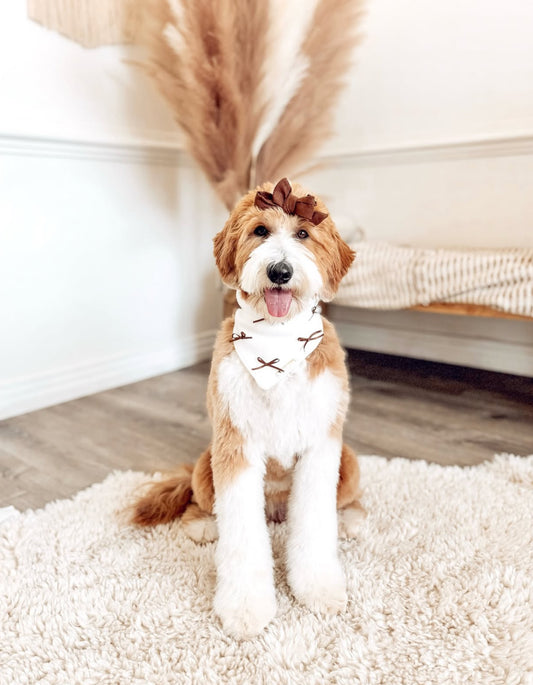 Coffee + Bows Bandana