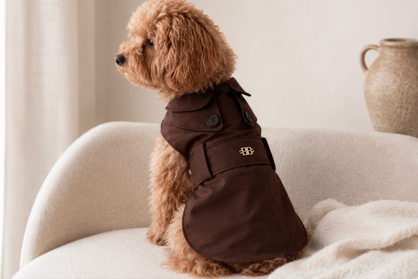 Chocolate Trench Coat