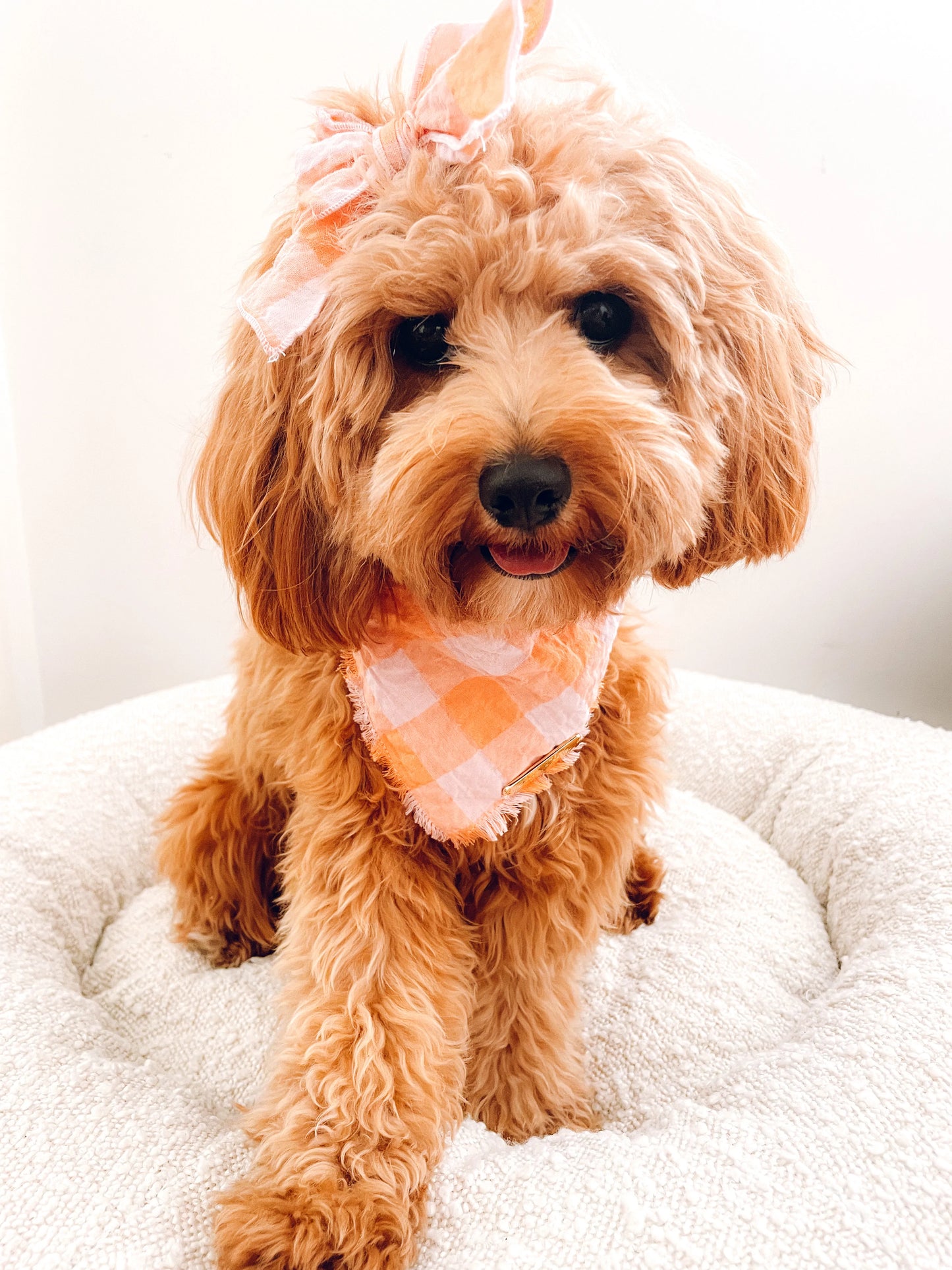 Tangerine Bandana