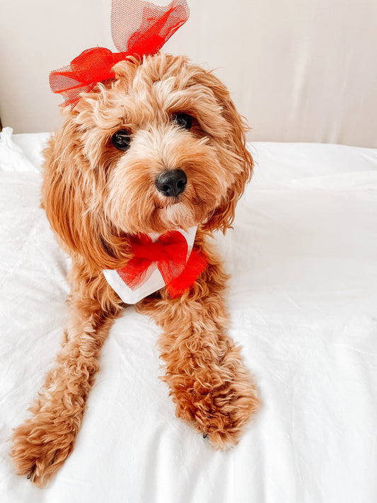 Red Tulle Hair Bow
