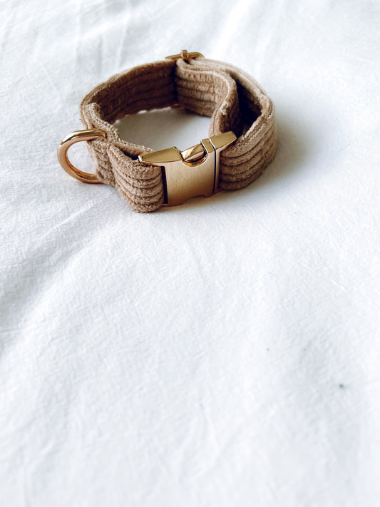 Butterscotch Collar