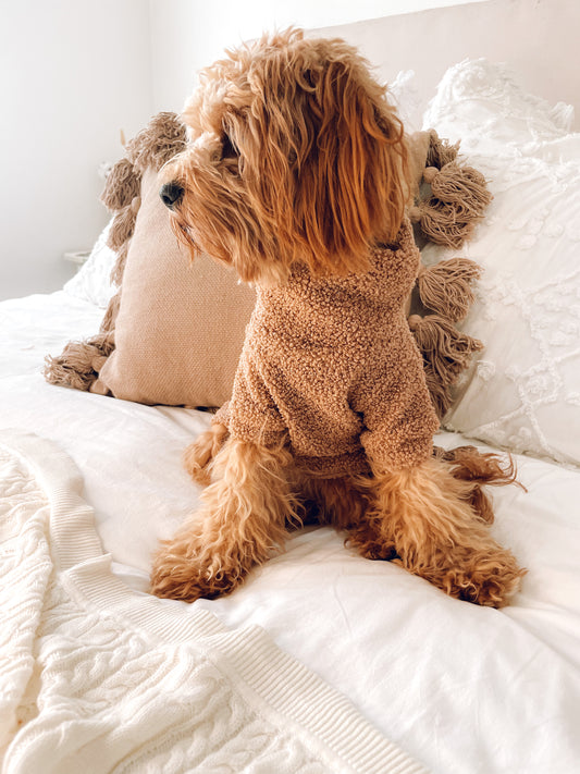 Teddy Sweater (Tan)